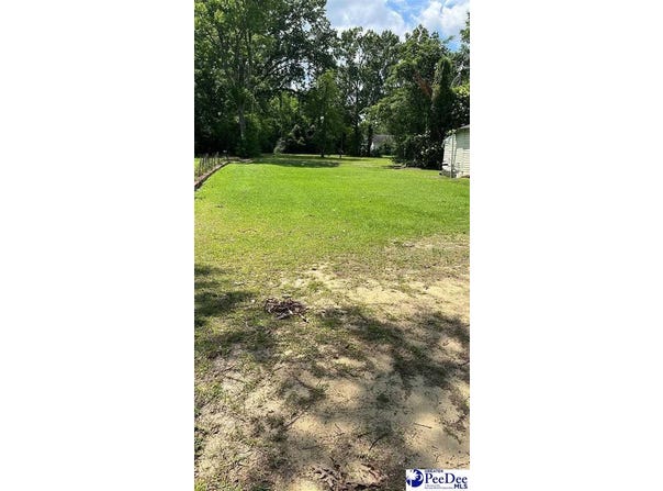 310 Bobby L Davis Blvd, Marion, SC 29571