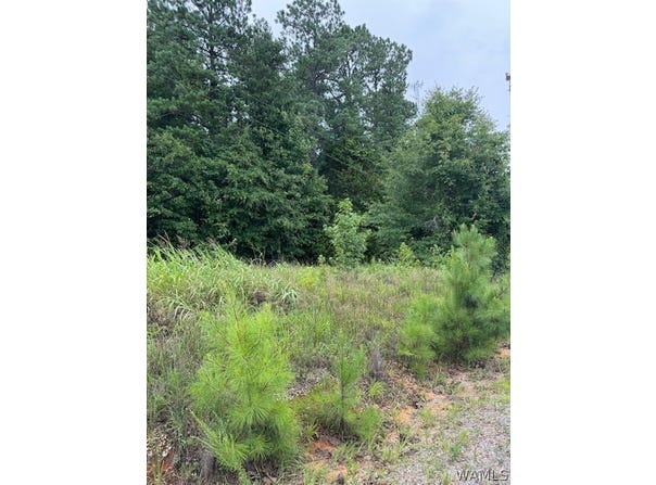 10452 N Davis Road, Cottondale, AL 35453