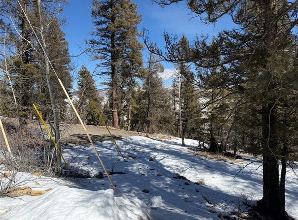 806 Middle Fork lot: 357, FAIRPLAY, CO 80440