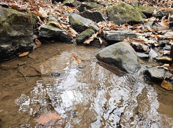 Black Oak Road, Rock, WV 24747