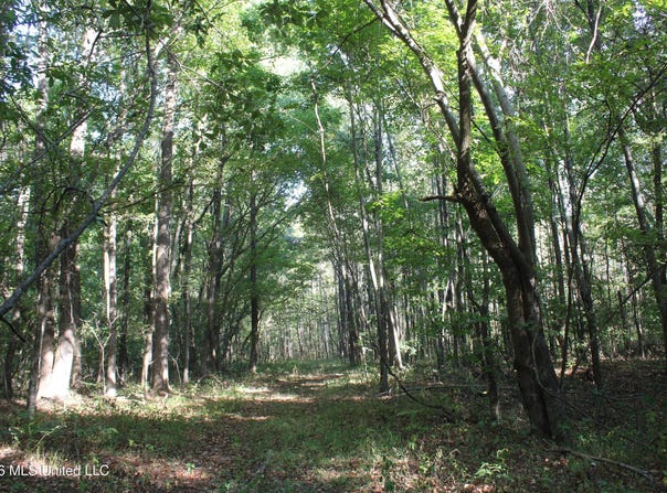 10 Star Landing Road, Nesbit, MS 38651