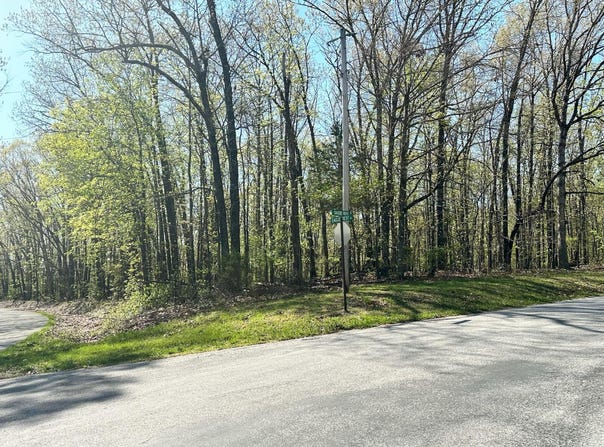 L42a & 43a Eaglecrest Road, Cape Fair, MO 65624