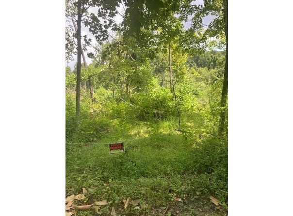 E Fork Road, Laurelville, OH 43135