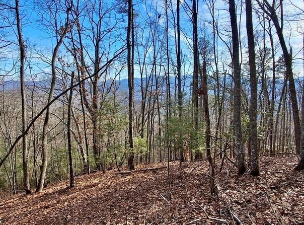 Briarwood Road, Webster, NC 28788