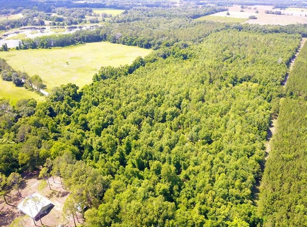 SE Wimberley Cir, Mayo, FL 32066