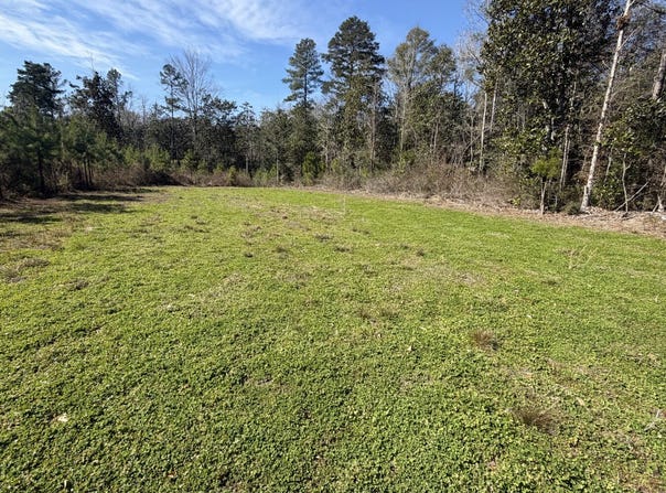 1 Taylor Mill Road, Elba, AL 36323