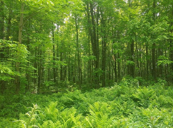 9 Private Road, WI-139, Argonne, WI 54511