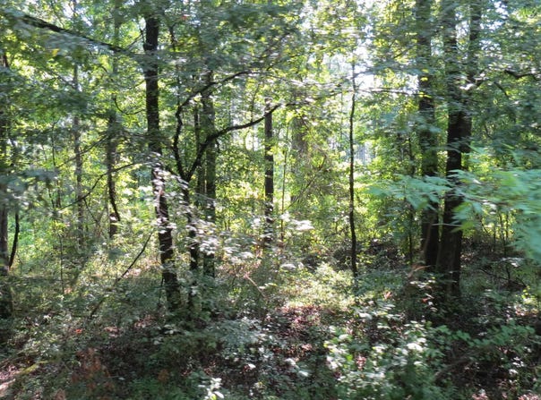 Highway 133, Wilmar, AR 71675