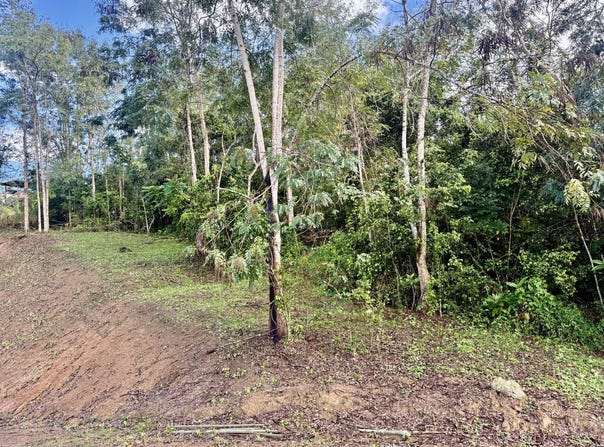 Ave. Praderas Pl Bo. Rincon Lomas, Cayey, 00736