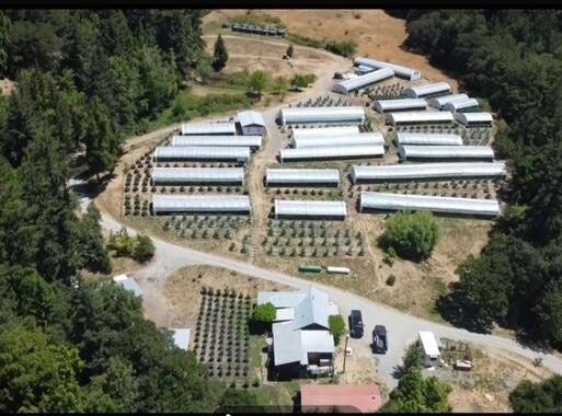35082 Alderpoint Road, Blocksburg, CA 95514
