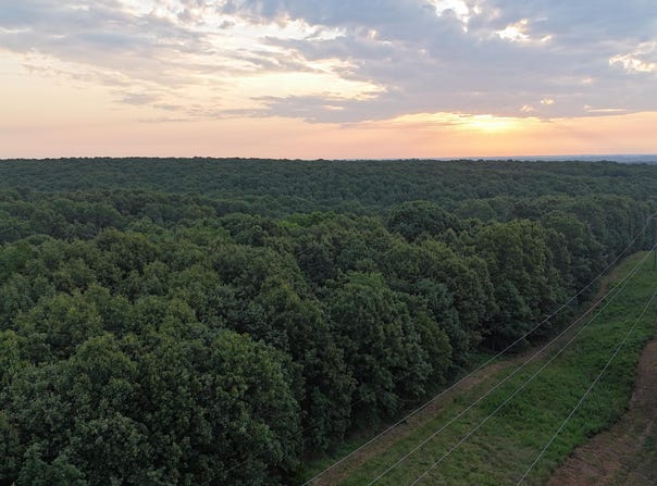 County Rd 2100, Mt Vernon, MO 65712