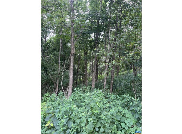 RAVEN WAY, FREE UNION, VA 22940