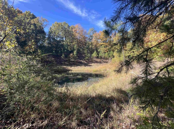 Hwy 254, Leslie, AR 72645