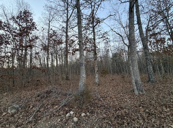 County Road 204, Alton, MO 65606