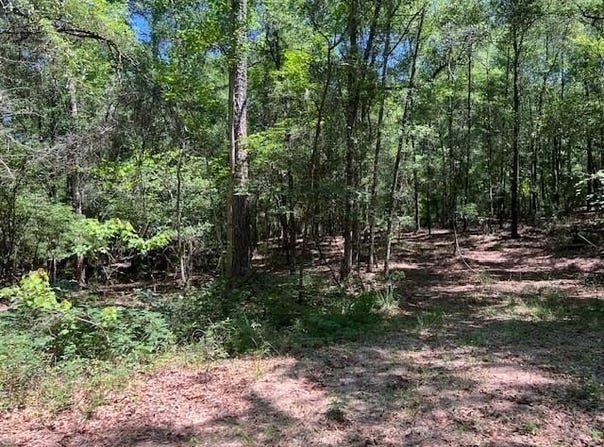 Jo-Beth St., WAYNESBORO, MS 39367