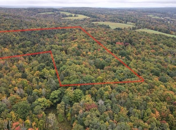 134 Page Rd, CHENANGO FORKS, NY 13746