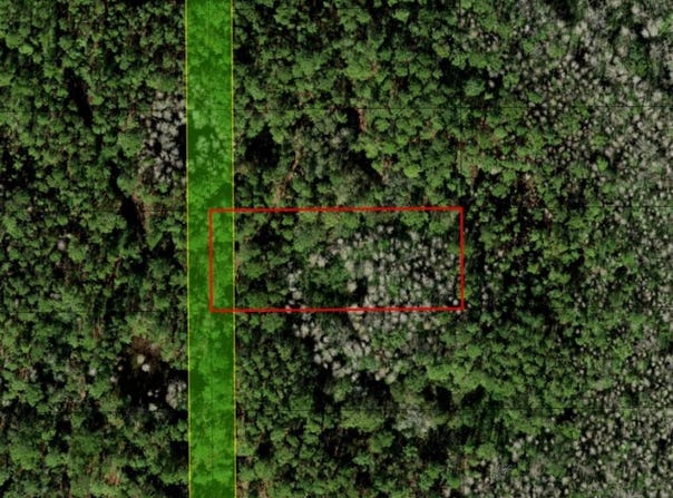 Old Grade Road, FL 33868
