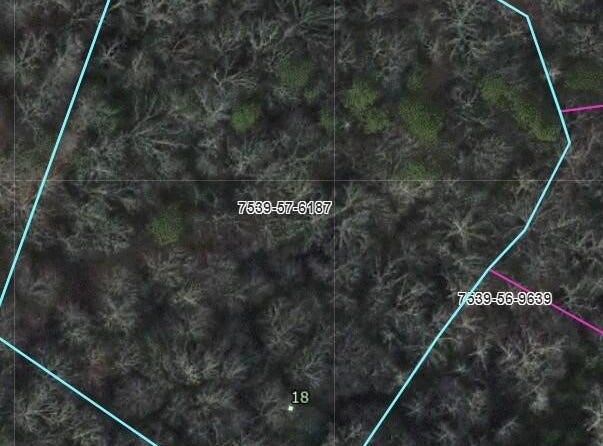 Frady Cove lot: 18, Sylva, NC 28779