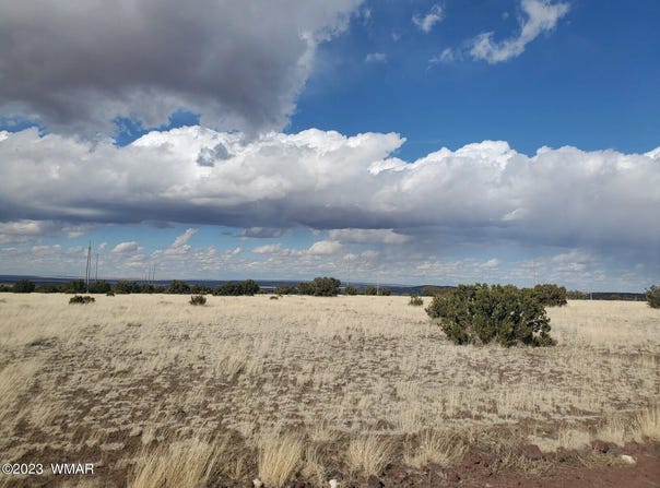 CR 5076, Concho, AZ 85924
