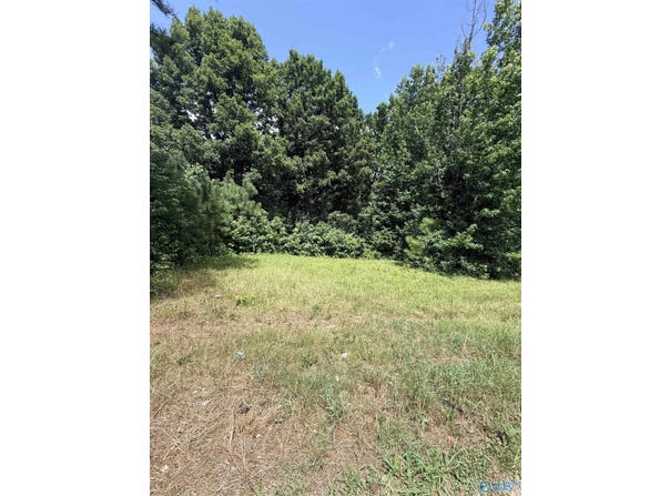 1 A County Road 4, Boaz, AL 35957