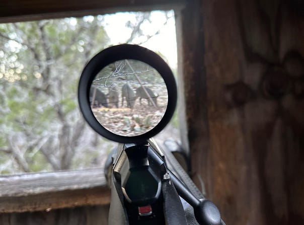 Park Rd, Lampasas, TX 76550