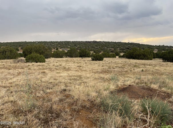 67 Hickory Lane, Concho, AZ 85924
