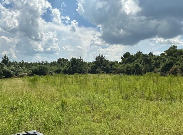 328 sasser rd, BRANTLEY, AL 36009