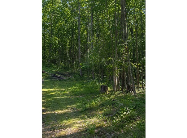 Birchcurve Road, Randall, MN 56475