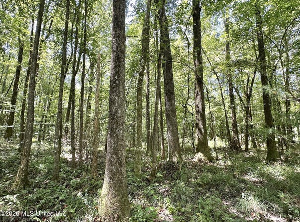 1 County Road 24, Enterprise, MS 39330