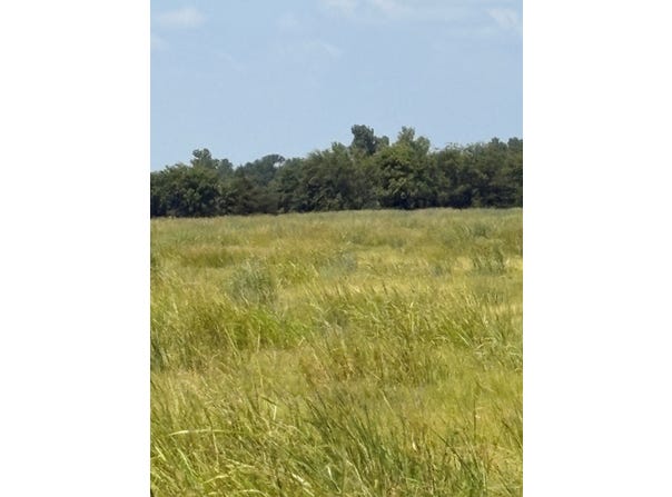 County Road 3020, Bonham, TX 75418