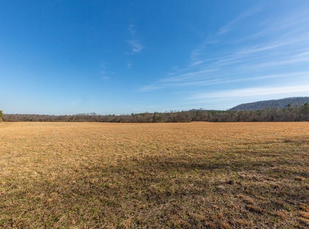Polk Road 626, Mena, AR 71953