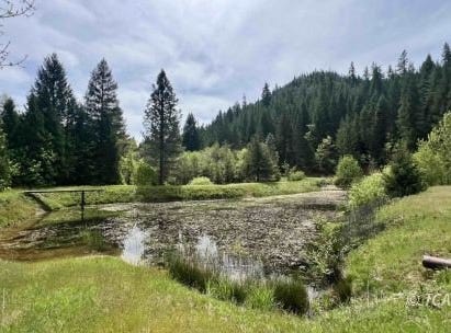 791 Rancheria Creek Rd, Trinity Center, CA 96041