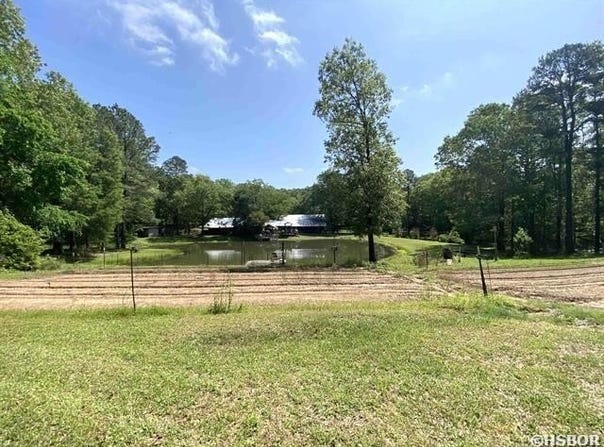 451 PALMETTO Loop, Bismarck, AR 71929