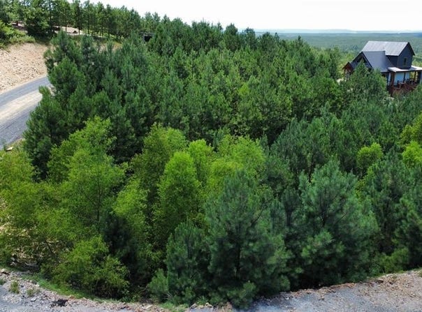 170 Overcup Oak Trail, Broken Bow, OK 74728