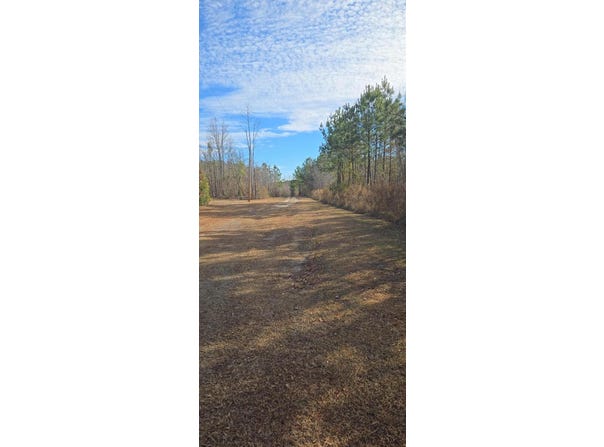 Primus Drive, Saint George, SC 29477