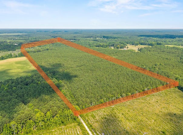 Near 8944 Chauncey Town Rd, Lake Waccamaw, NC 28450