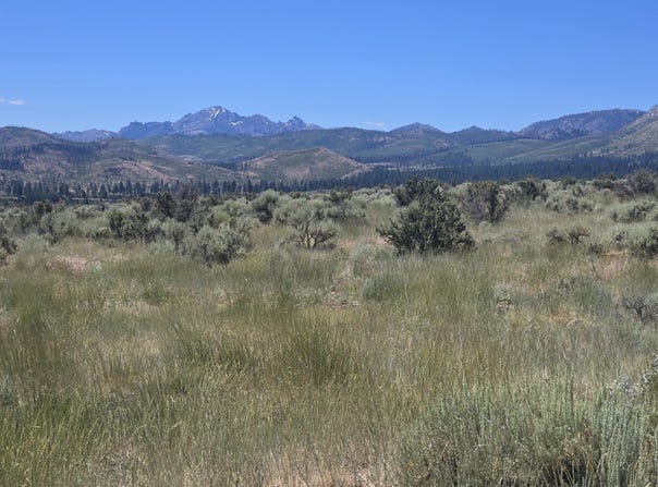18 Sunrise Trail, Markleeville, CA 96120