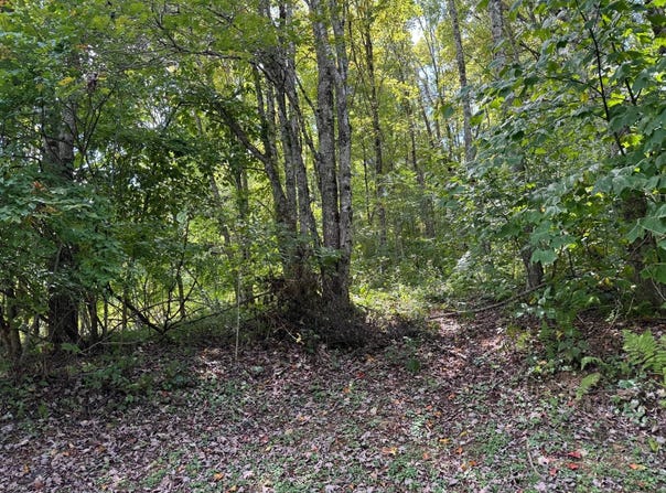 Balsam Dr, Newland, NC 28657