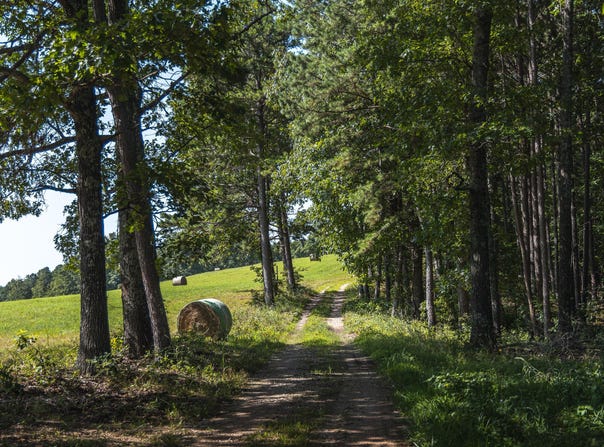 Tract 4 Private Drive, Norwood, MO 65717