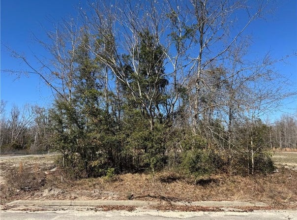 Meadowbrook Street, GA 30474