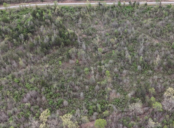 11.32 acre County Road 2228 (A), Hartman, AR 72840
