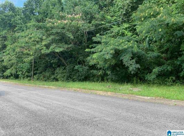 2125 PARK BROOK LANE lot: 10, BIRMINGHAM, AL 35215