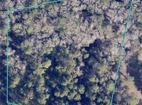 Honey Dew Lane, Brooklet, GA 30415