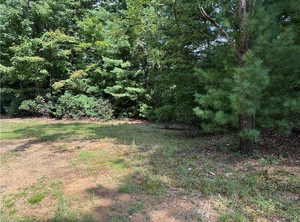 Rich Pine Drive lot: 119, Purlear, NC 28665