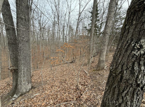 Oak Hollow Rd lot: 25, Moneta, VA 24121