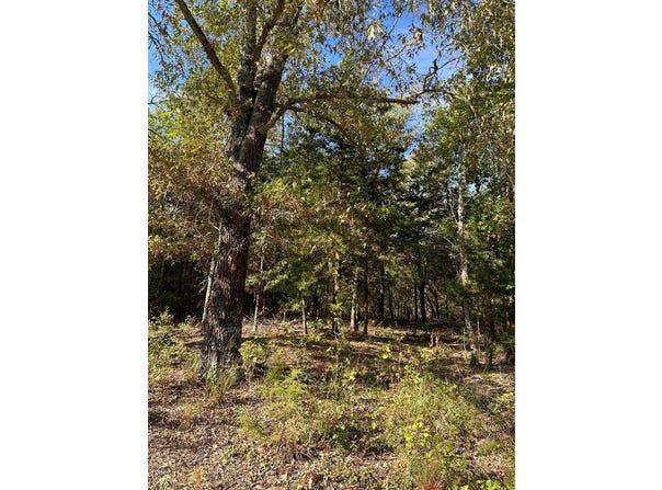 234 Private Road 34615, Sumner, TX 75486