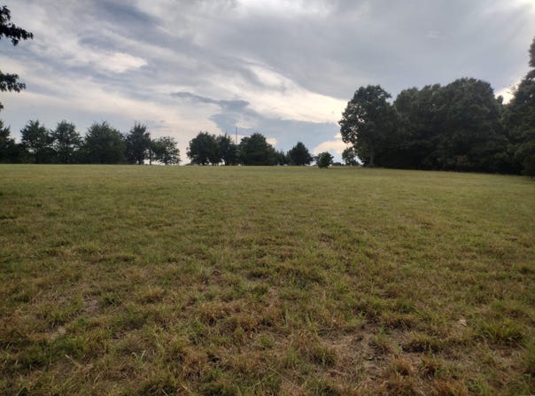 Shady Oak DR, Mountain View, AR 72560