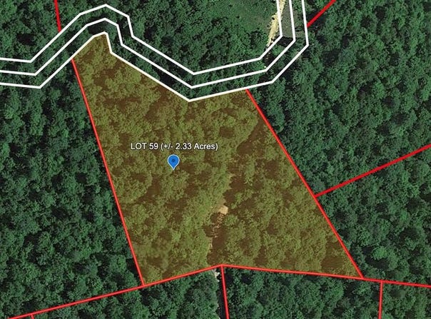 162 GERBER DAISY TRAIL, BRAGG, WV 25918