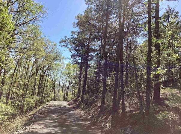 TBD Tract 7 Chaparral Lane, Mena, AR 71953
