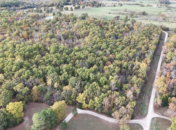 SE 451 Road, Collins, MO 64738